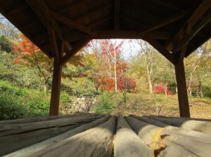 水辺にある東屋で紅葉を眺めながらひと休み。